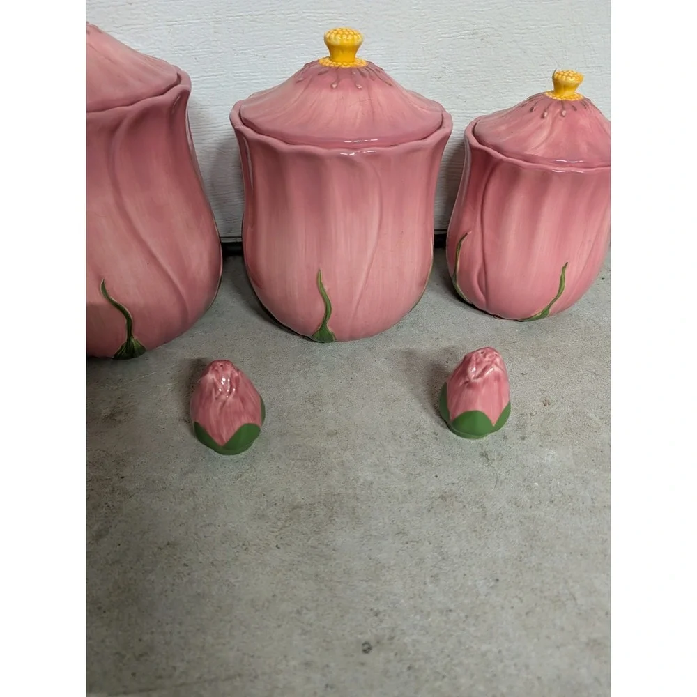 Franciscan Desert Rose Canister Set of 3 different sizes & Shakers.Nos.5 Pieces